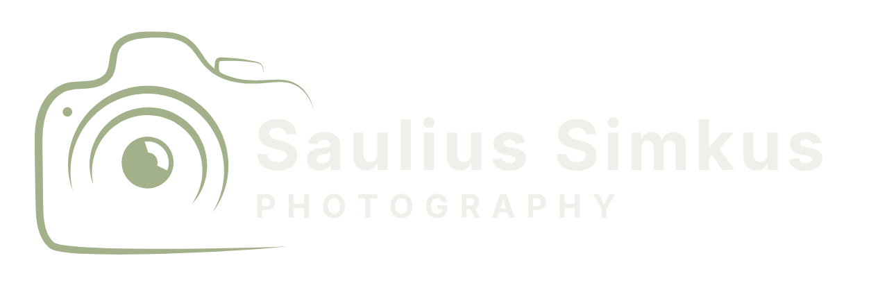 website logo