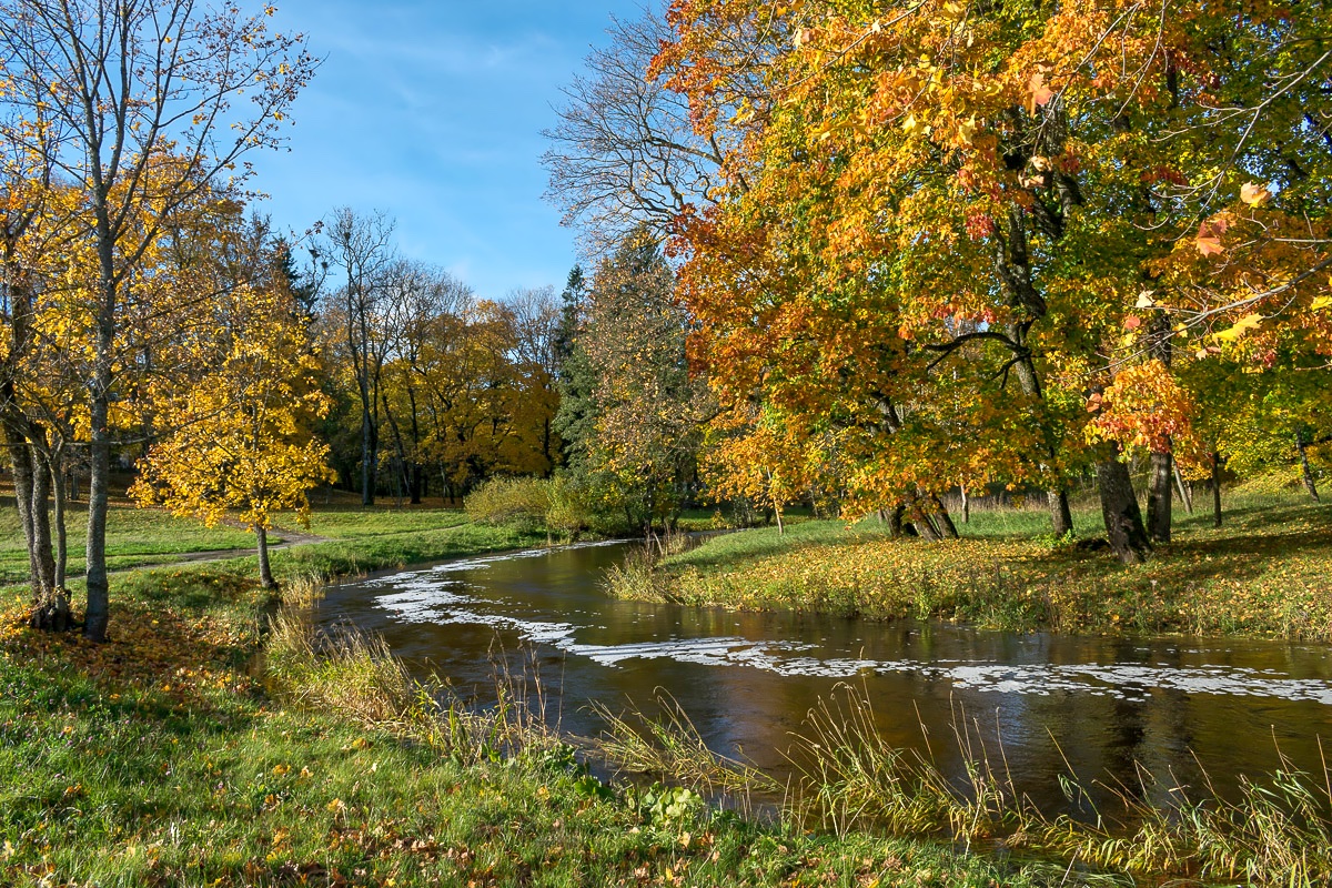 Autumn Rivers