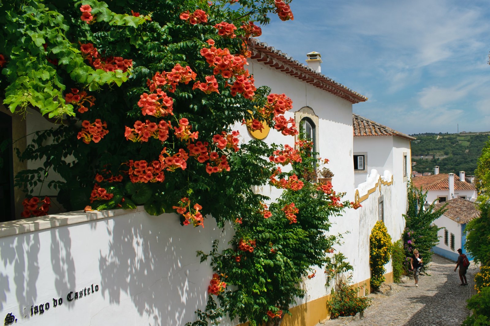 Blooming Walls Blooming Walls