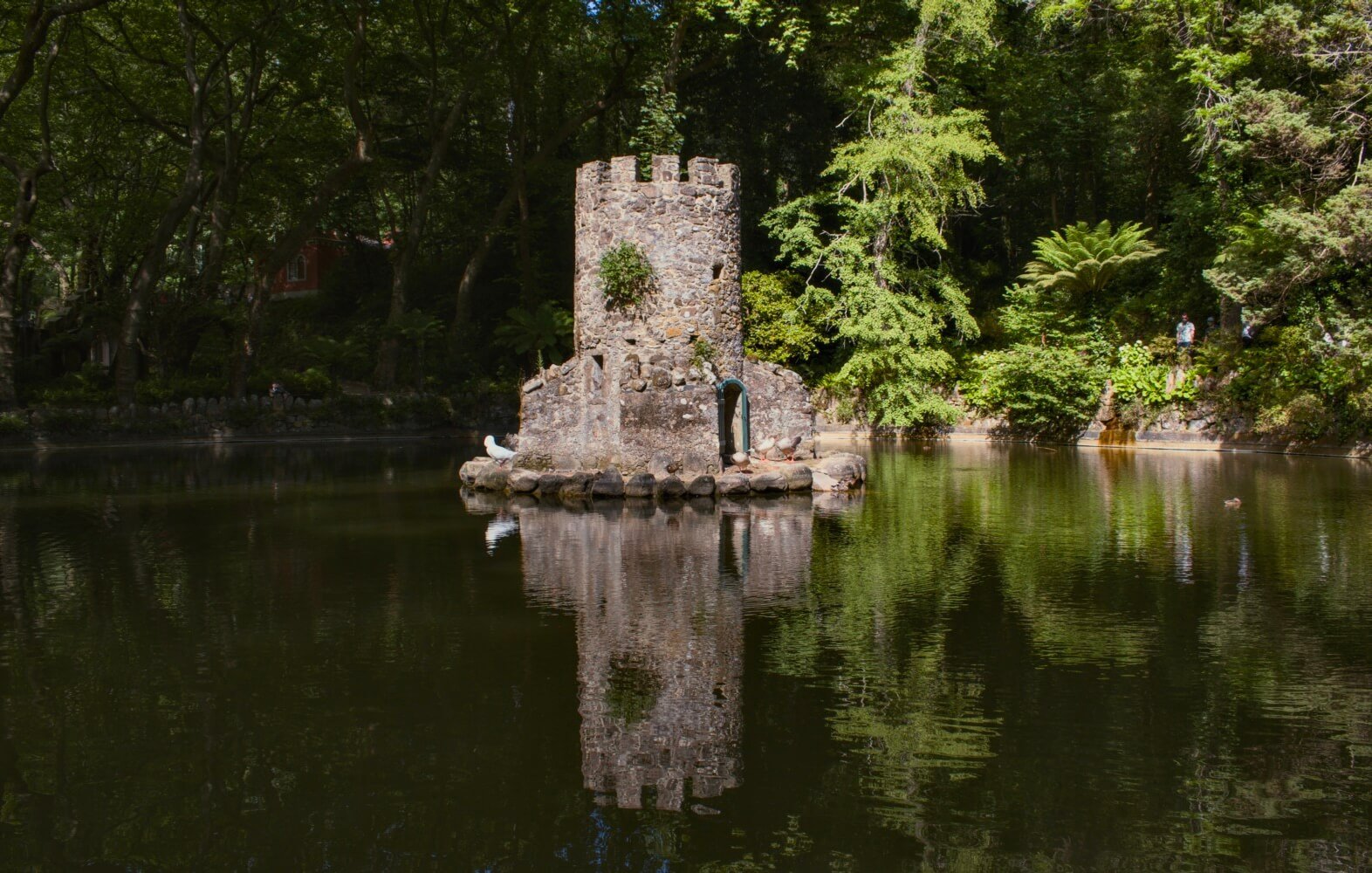Echoes in the Pond Echoes in the Pond