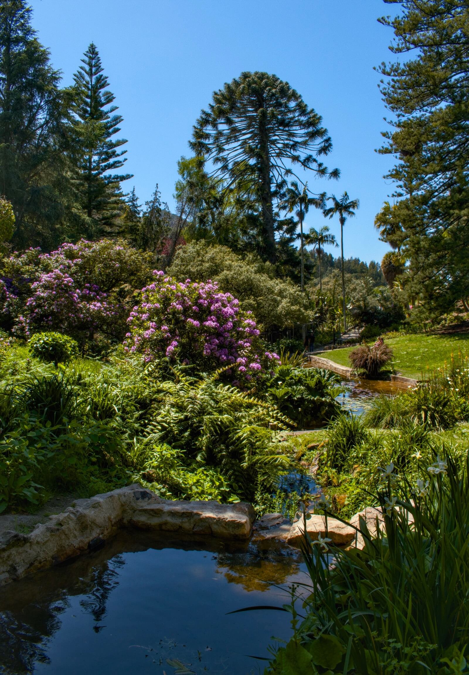 Sintra’s Secret Garden Sintra’s Secret Garden